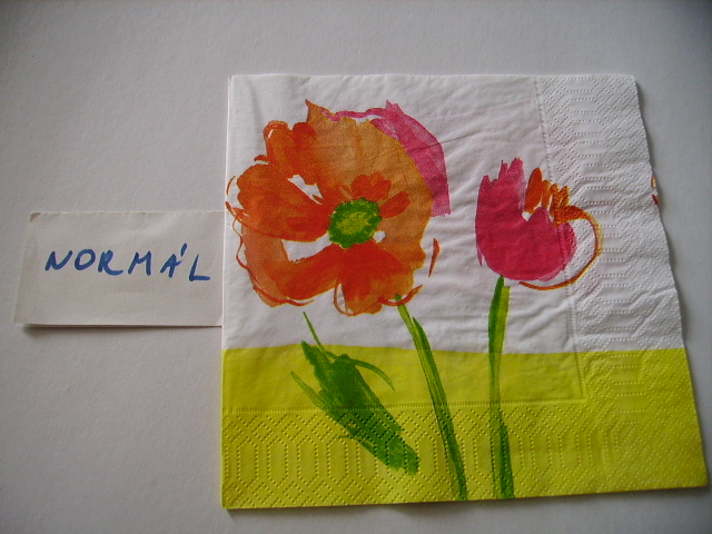 szalvta: PID20506.JPG