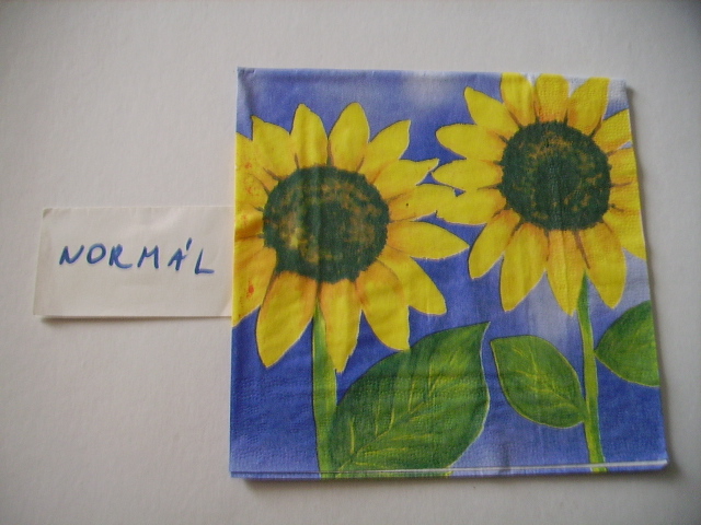 szalvta: PID20508.JPG