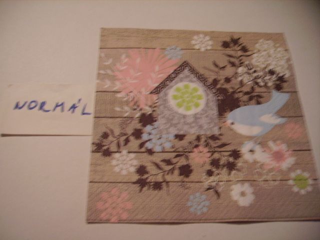 szalvta: PID21222.JPG