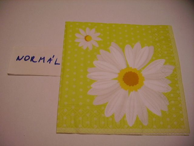 szalvta: PID21301.JPG