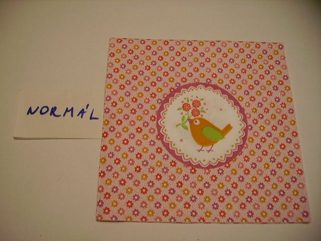 szalvta: PID21303.JPG