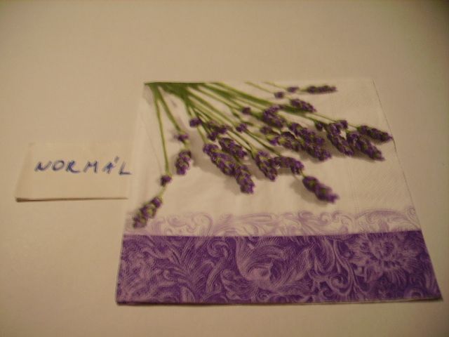 szalvta: PID21342.JPG