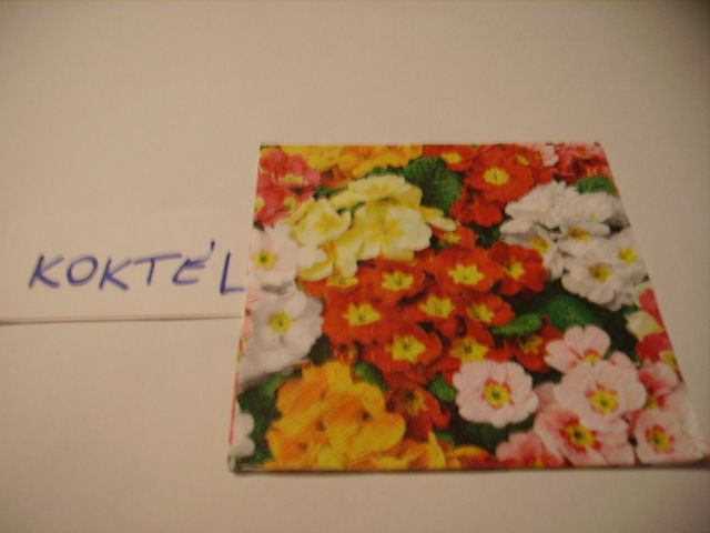 szalvta: PID21743.JPG