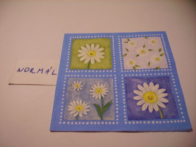 szalvta: PID21778.JPG