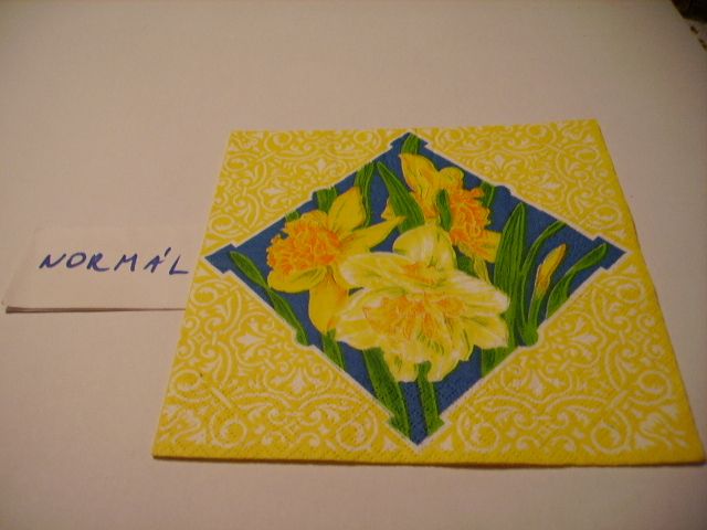 szalvta: PID21784.JPG