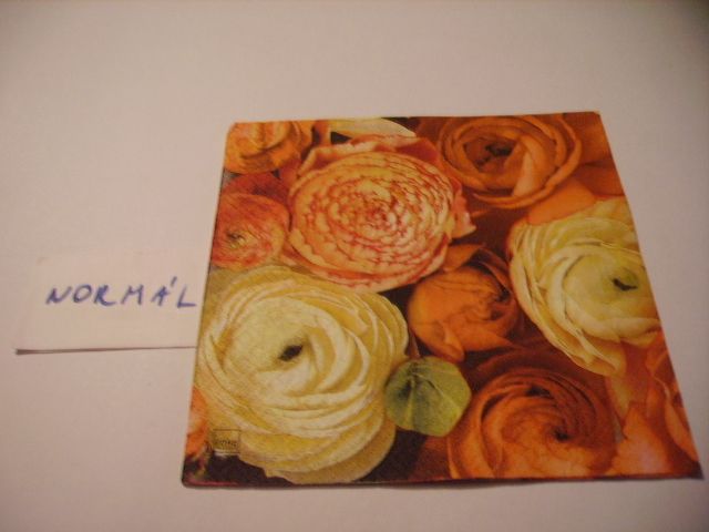 szalvta: PID21802.JPG