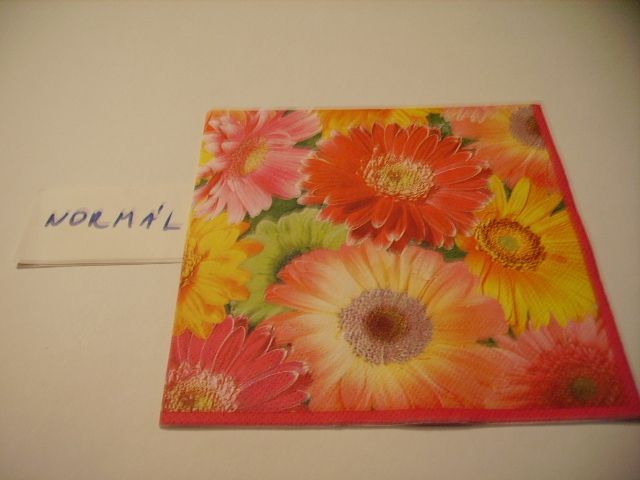 szalvta: PID21819.JPG