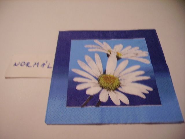 szalvta: PID21821.JPG