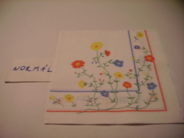 szalvta: PID21887.JPG