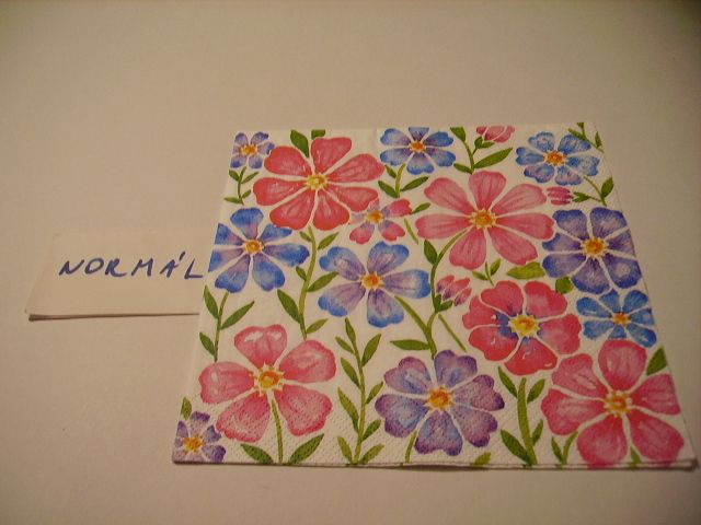 szalvta: PID21903.JPG