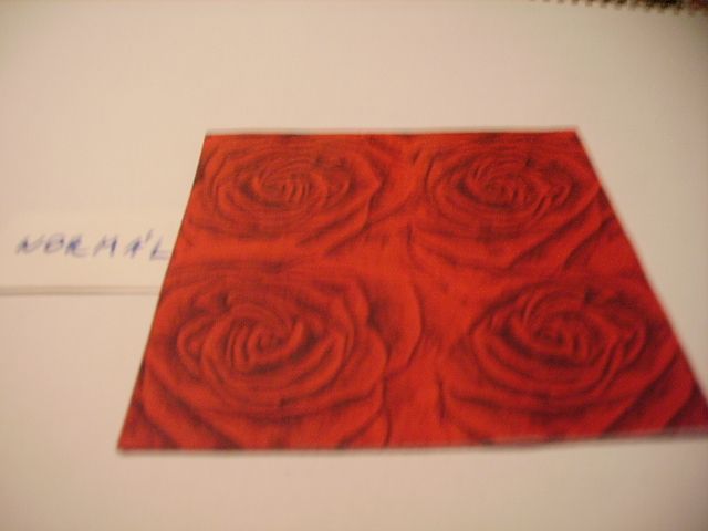 szalvta: PID21924.JPG