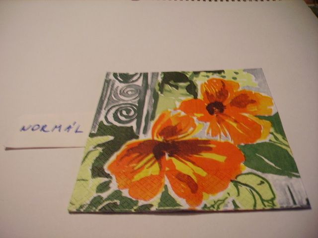 szalvta: PID21926.JPG