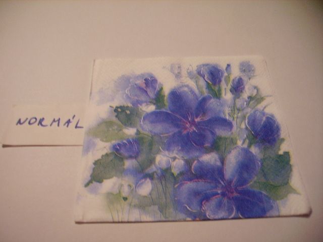 szalvta: PID21929.JPG