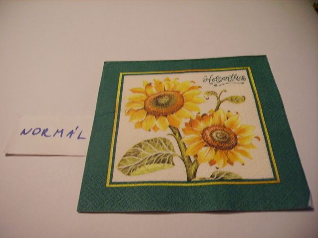 szalvta: PID21932.JPG