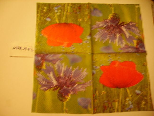 szalvta: PID21945.JPG