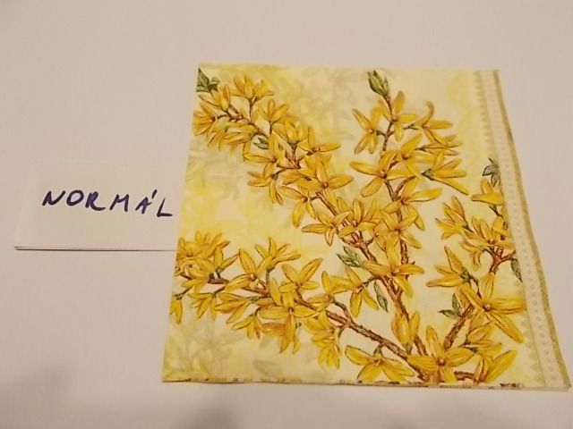 szalvta: PID22000.JPG