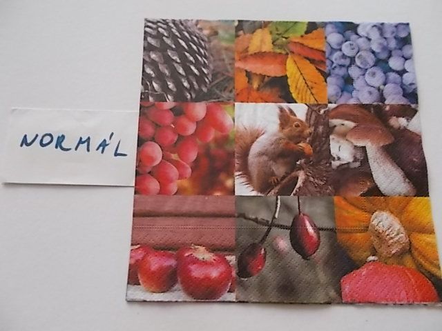 szalvta: PID22102.JPG