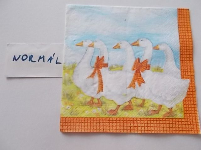 szalvta: PID22133.JPG