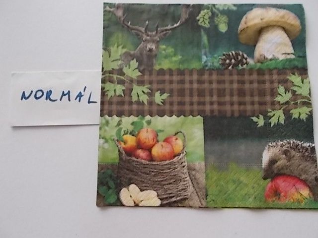 szalvta: PID22170.JPG