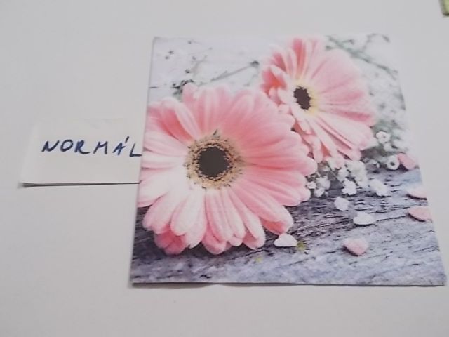 szalvta: PID22584.JPG