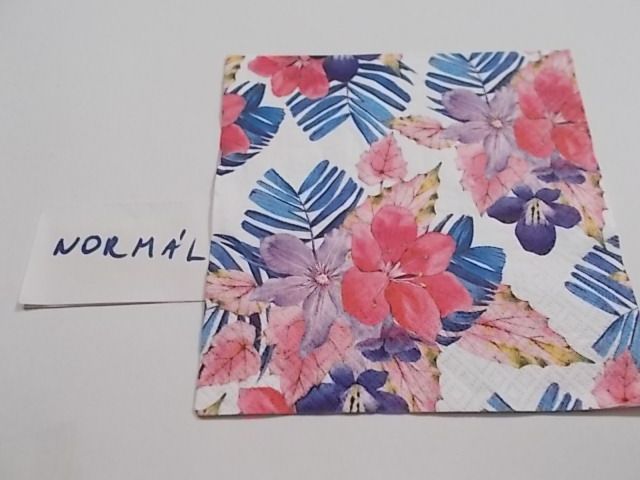 szalvta: PID22588.JPG