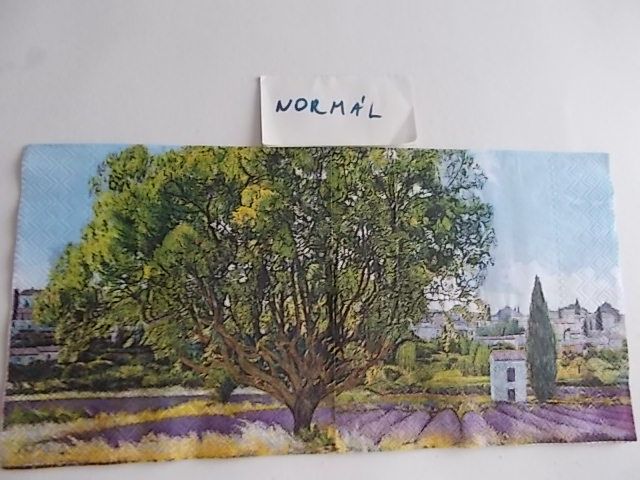 szalvta: PID22977.JPG