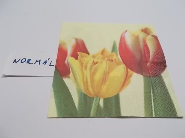 szalvta: PID23364.JPG