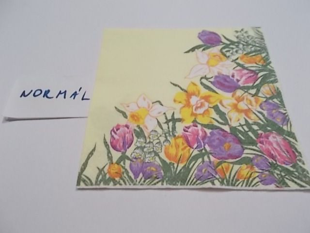 szalvta: PID23367.JPG