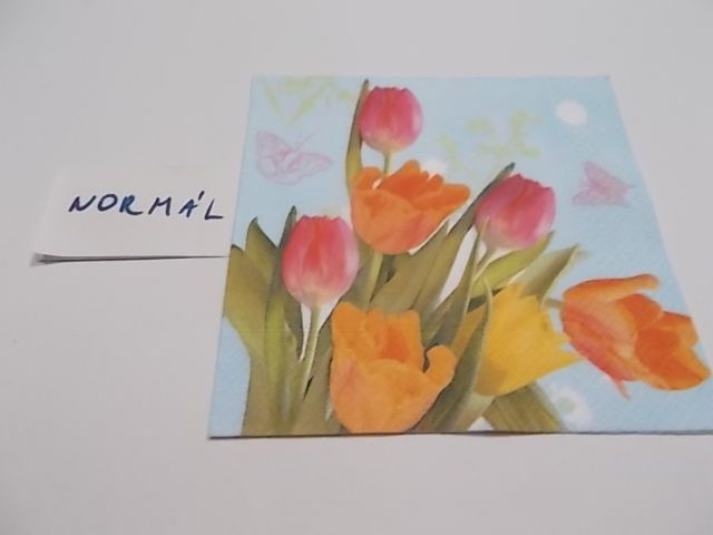 szalvta: PID23373.JPG