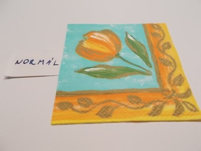 szalvta: PID23378.JPG