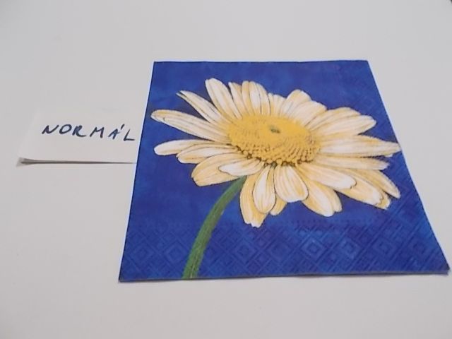 szalvta: PID23381.JPG