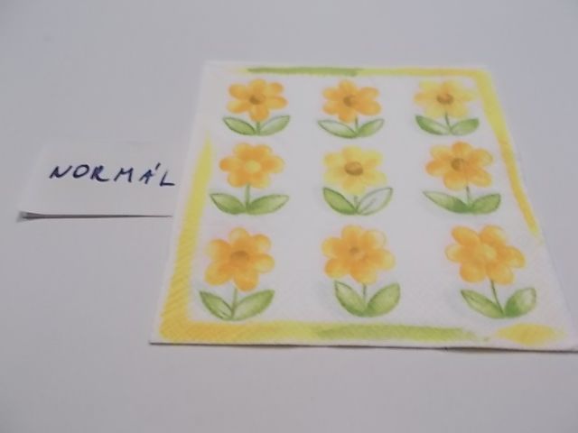 szalvta: PID23389.JPG