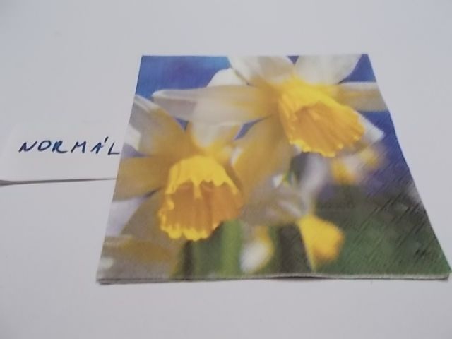 szalvta: PID23392.JPG