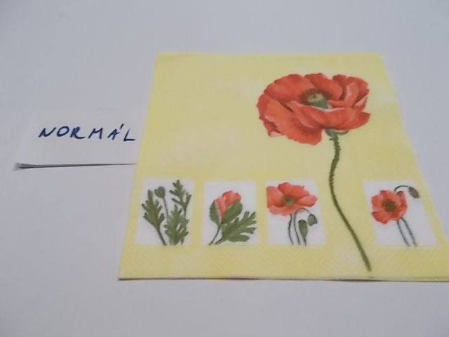 szalvta: PID23407.JPG