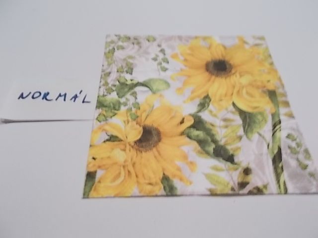 szalvta: PID23410.JPG