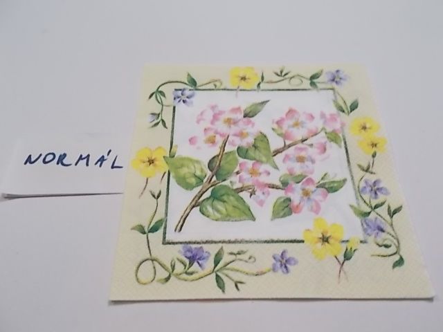 szalvta: PID23476.JPG