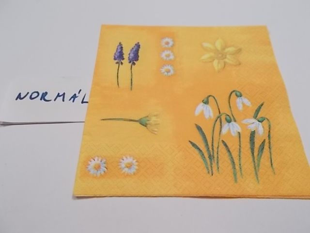 szalvta: PID23478.JPG