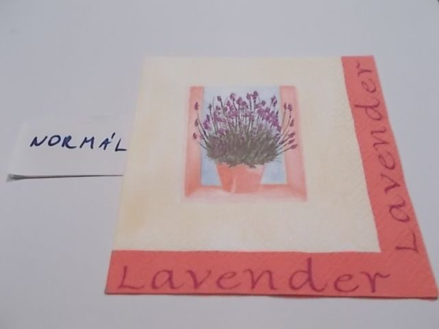 szalvta: PID23479.JPG