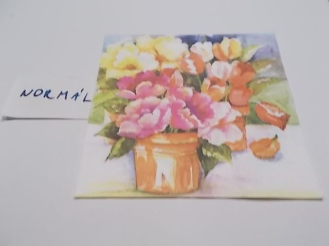 szalvta: PID23481.JPG