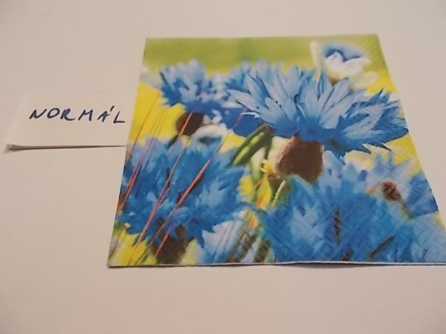 szalvta: PID23491.JPG