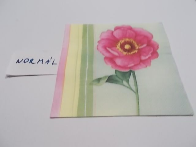 szalvta: PID23501.JPG