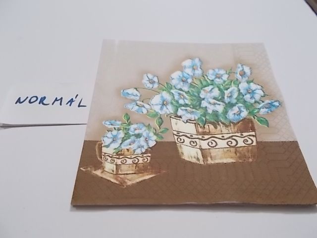 szalvta: PID23502.JPG