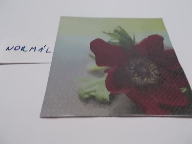 szalvta: PID23503.JPG