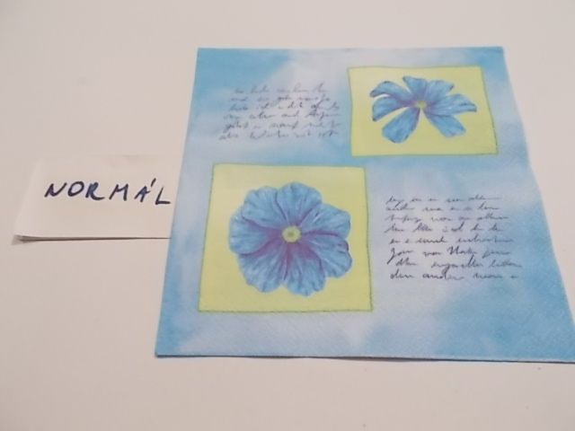 szalvta: PID23508.JPG