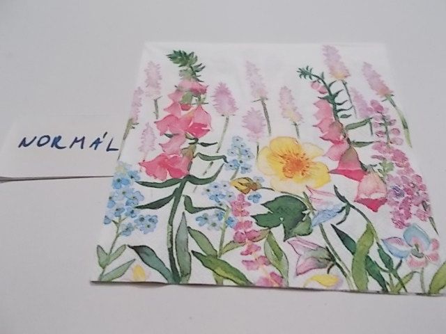 szalvta: PID23558.JPG