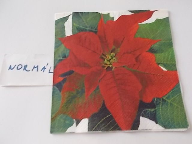 szalvta: PID23794.JPG