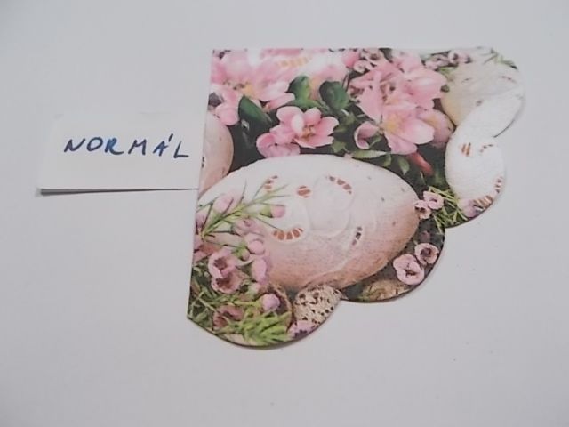 szalvta: PID24165.JPG