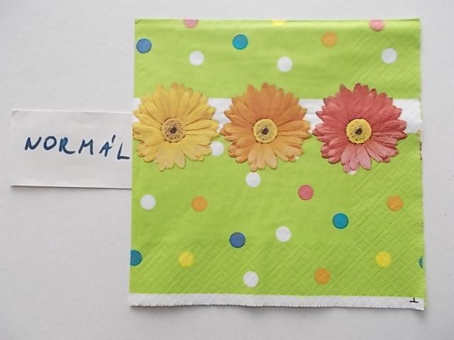 szalvta: PID24197.JPG