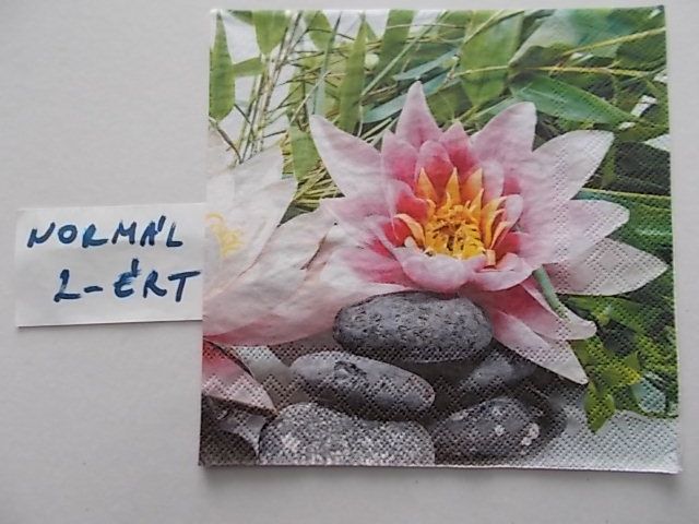 szalvta: PID24198.JPG