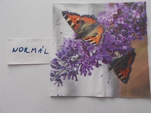 szalvta: PID24216.JPG